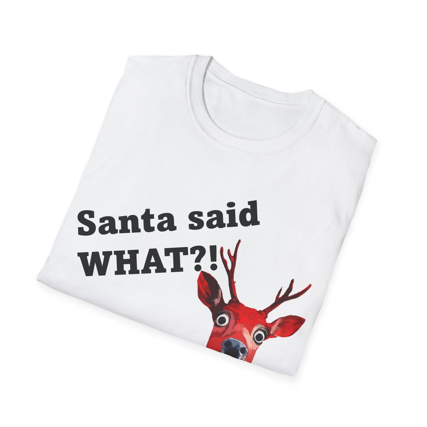 Santa said WHAT?! - T-shirt