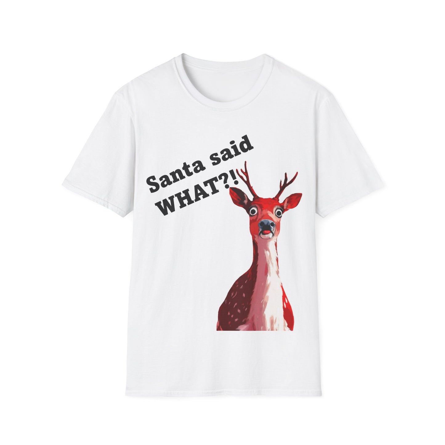 Santa said WHAT?! - T-shirt